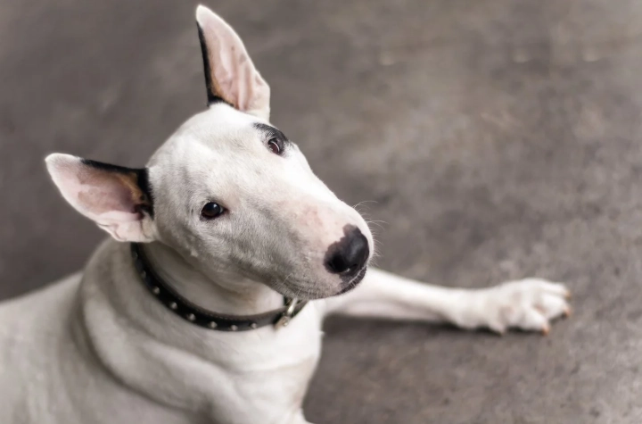 血尿自行好轉 血尿自行好轉