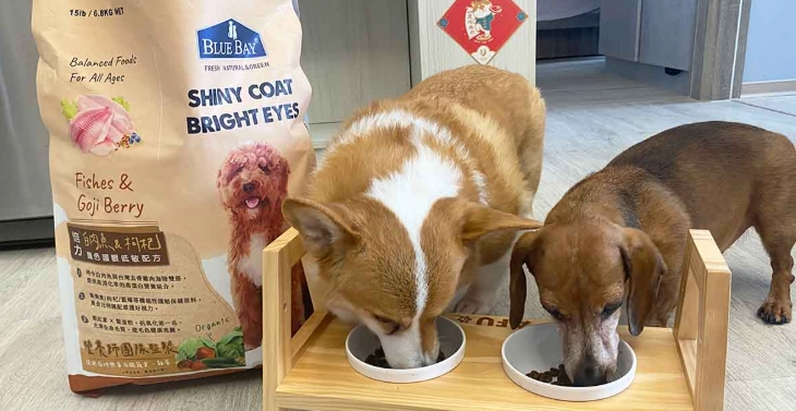 狗飼料比較