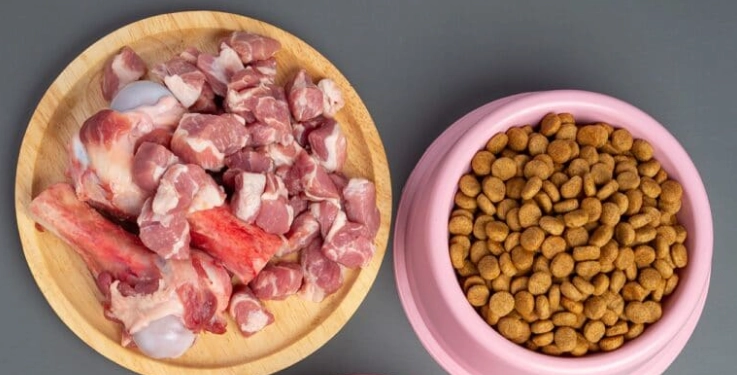 老年犬鮮食製作