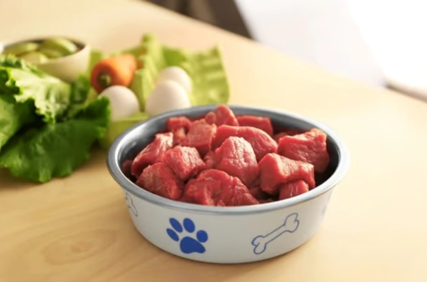 寵物飲食計算器