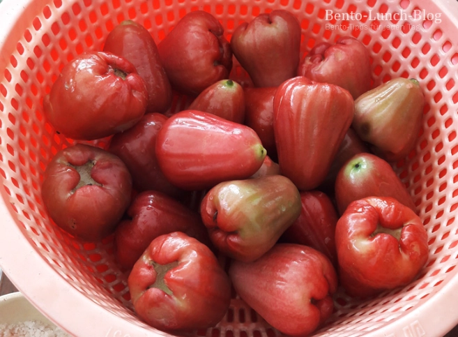 蓮霧對狗狗的影響