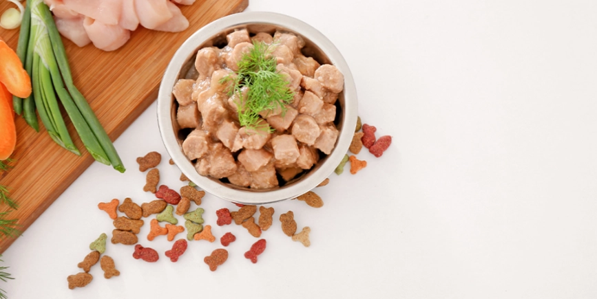 狗狗一天吃一餐