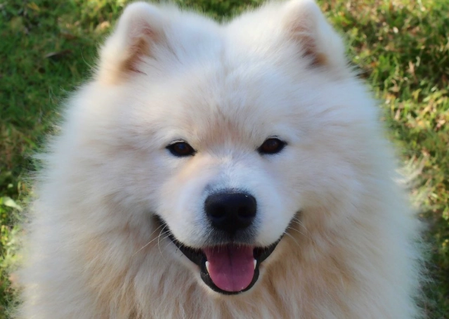 結紮頭套佩戴期限