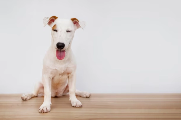 血尿自行好轉 血尿自行好轉