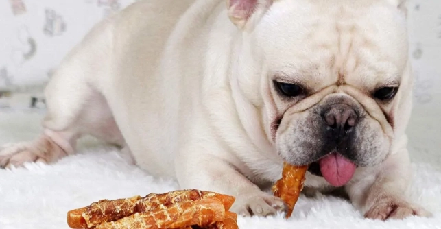 狗狗吃咖哩安全嗎