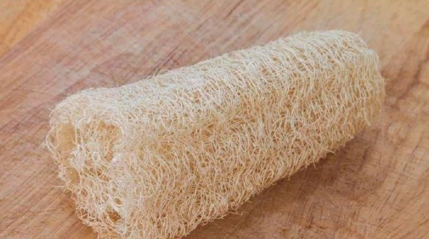 絲瓜絡貓咪清潔