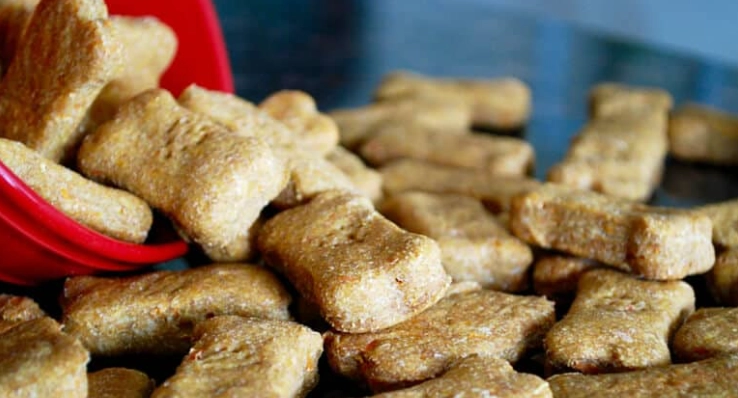 狗飯營養 狗飯營養