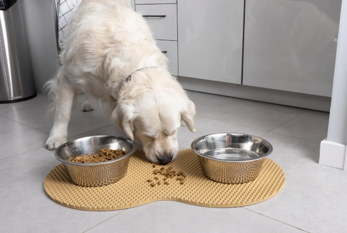 狗狗消化時間多長