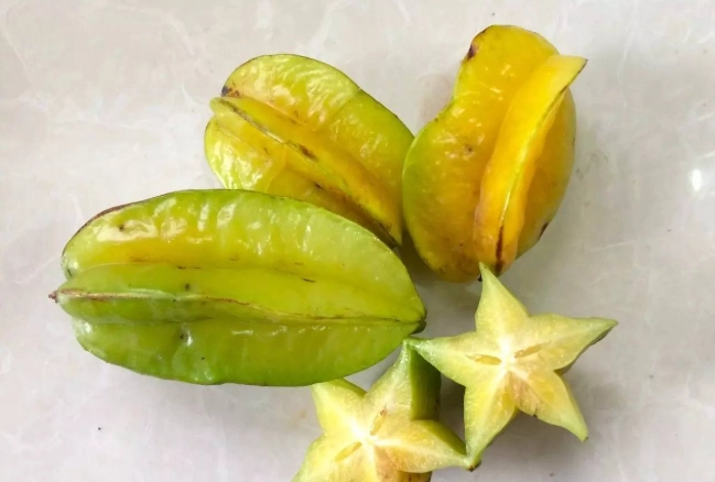 楊桃對狗的毒性