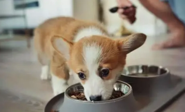 庫欣氏症藥物不良反應