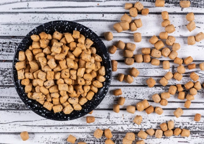 狗飯營養 狗飯營養