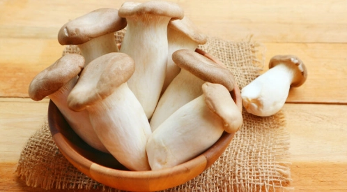 狗狗吃杏鮑菇安全嗎