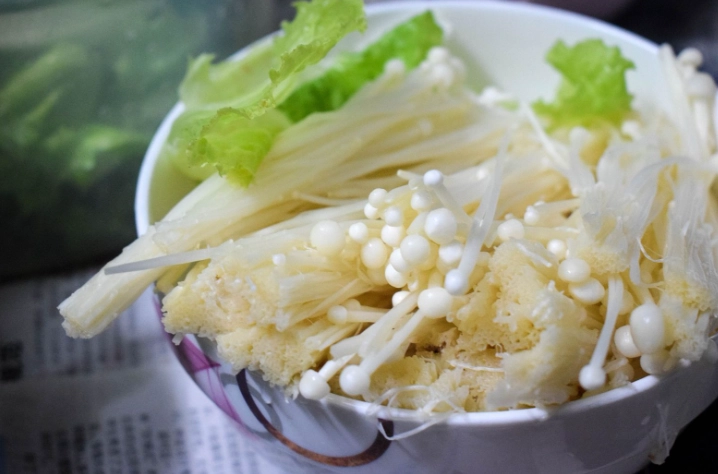 狗可以吃蘑菇嗎