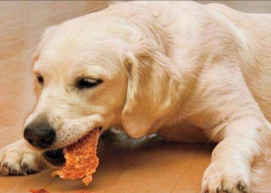 狗吃馬鈴薯皮安全