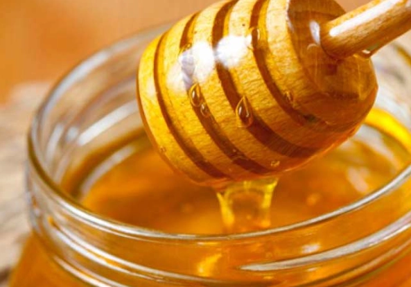 麥蘆卡蜂蜜狗評價