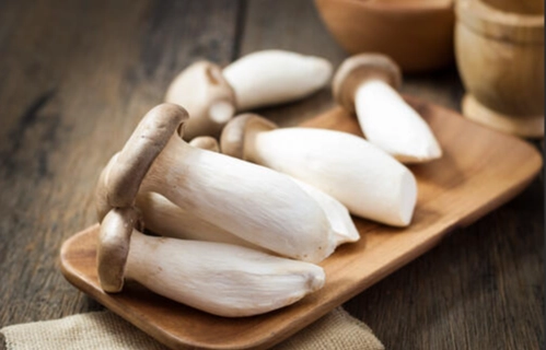 杏鮑菇對狗狗的好處