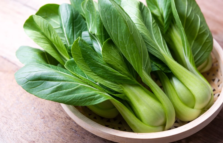 狗狗蔬菜飲食 狗狗蔬菜飲食