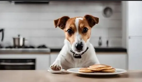 鬆餅對狗有害