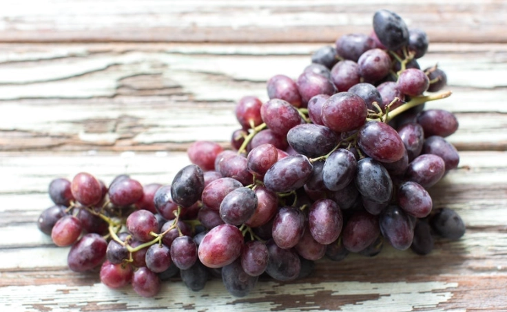 狗狗吃葡萄 狗狗吃葡萄