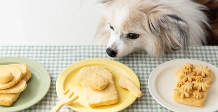 狗吃蛋撻安全嗎 狗吃蛋撻安全嗎