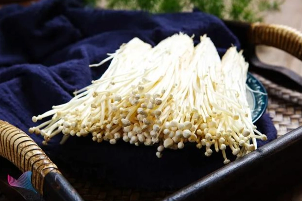 狗吃金針菇安全嗎