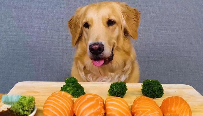 庫欣氏症藥物不良反應