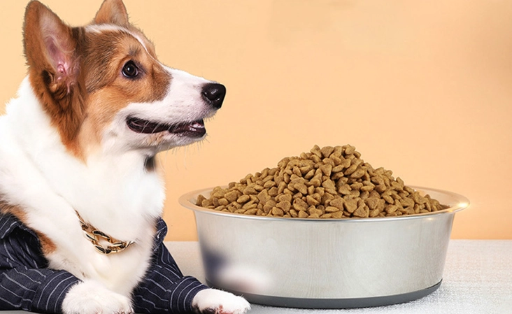 狗庫欣氏症治療 狗庫欣氏症治療