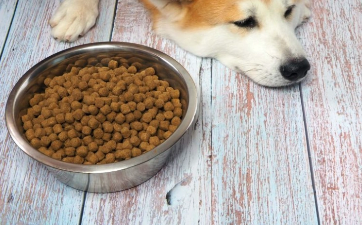 狗麵粉推薦 狗麵粉推薦