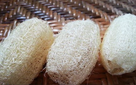 絲瓜絡貓咪清潔