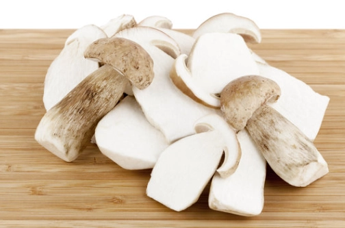 杏鮑菇對狗狗的好處