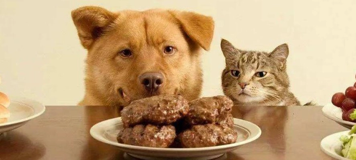 库欣氏症治疗 库欣氏症治疗