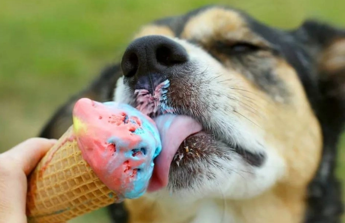 庫欣氏症藥物不良反應