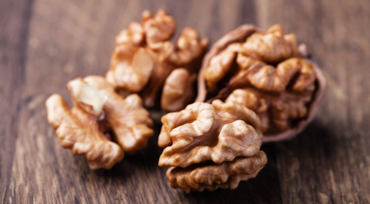 核桃對狗的毒性