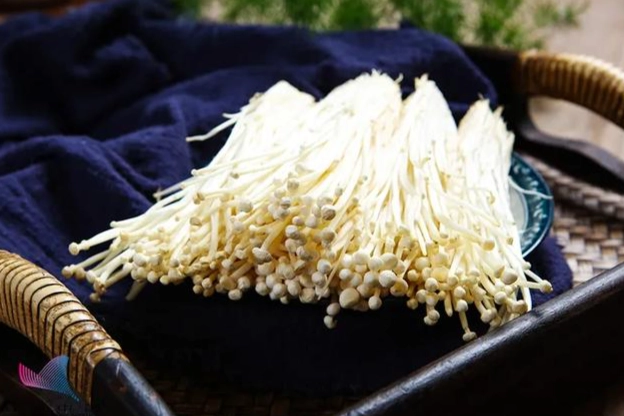 金針菇對狗有害嗎 金針菇對狗有害嗎