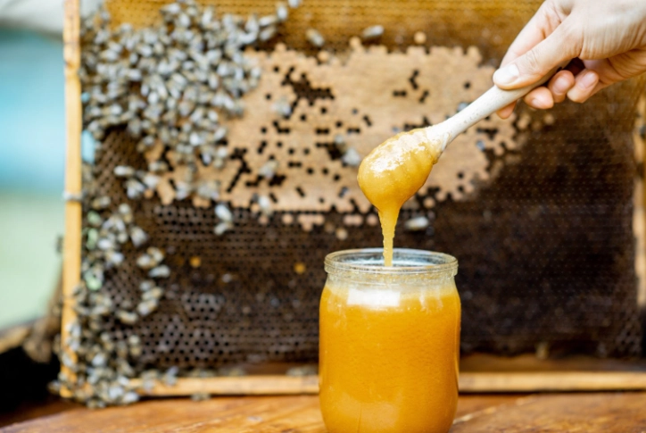 麥蘆卡蜂蜜狗功效