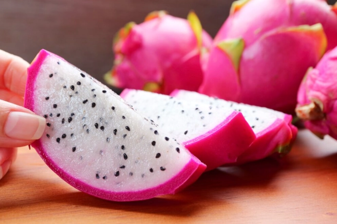 火龍果對狗的影響