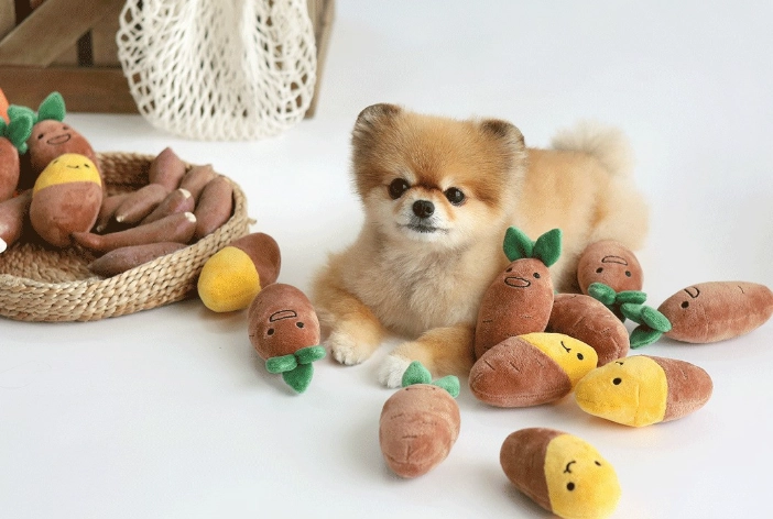 狗狗食物過敏治療