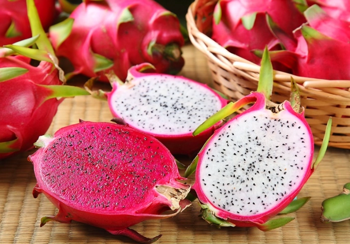 火龍果對狗的影響