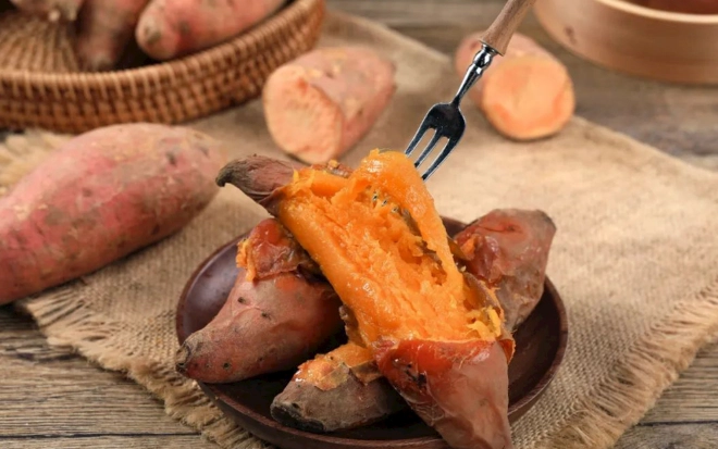 地瓜對狗狗的好處 地瓜對狗狗的好處