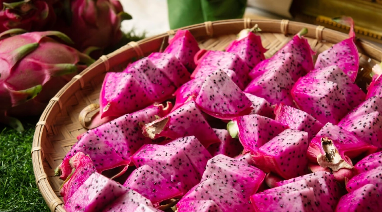 紅肉火龍果狗狗