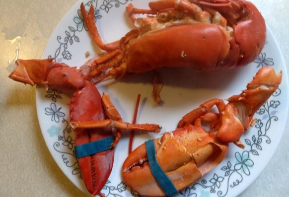 狗狗吃龍蝦好處