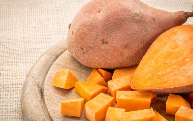 狗狗吃地瓜 狗狗吃地瓜