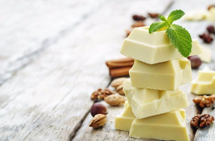 白巧克力對狗有毒