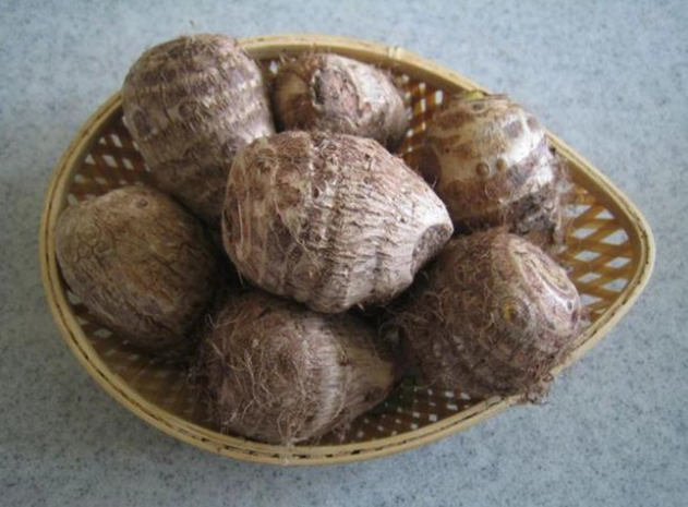 芋泥對狗狗安全嗎