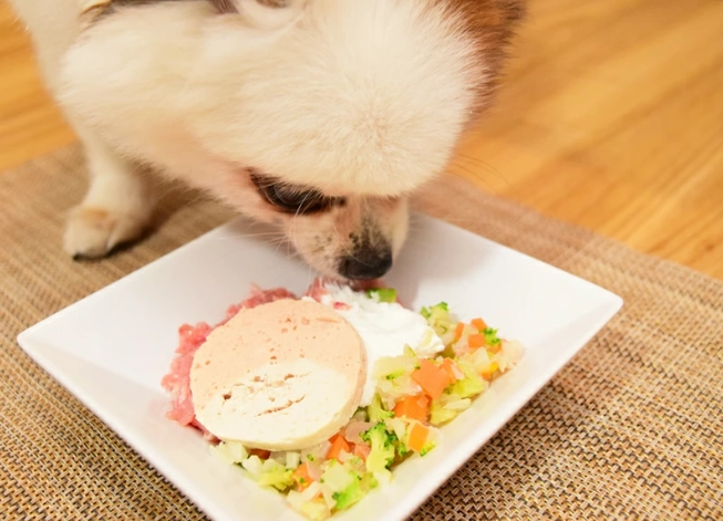 狗狗致命食物 狗狗致命食物