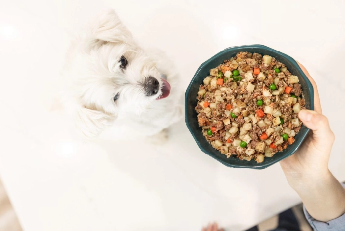 狗狗飲食禁忌 狗狗飲食禁忌