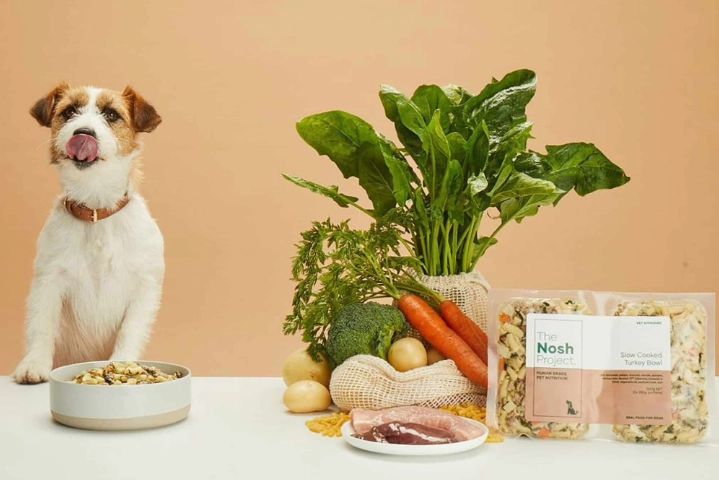 娃娃菜對狗狗的好處 娃娃菜對狗狗的好處