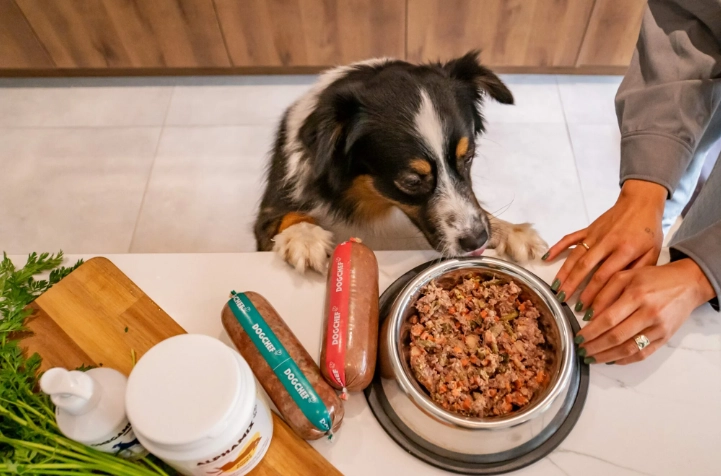 三色豆對狗狗有害嗎