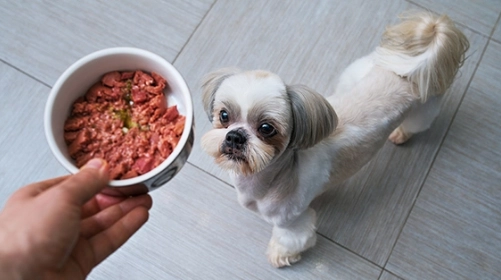 汪喵星球鮮食比較 汪喵星球鮮食比較