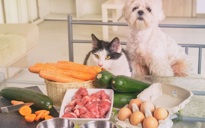 狗不能吃的東西 狗不能吃的東西